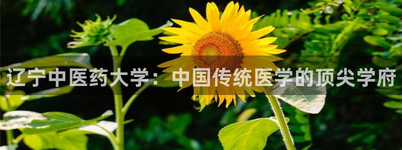 九游会集团官网