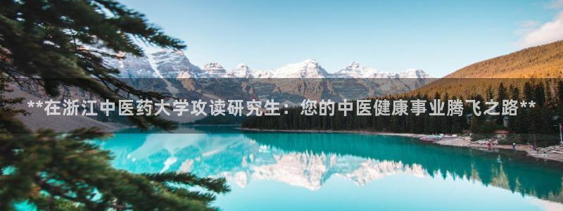 九游会ag真人官网