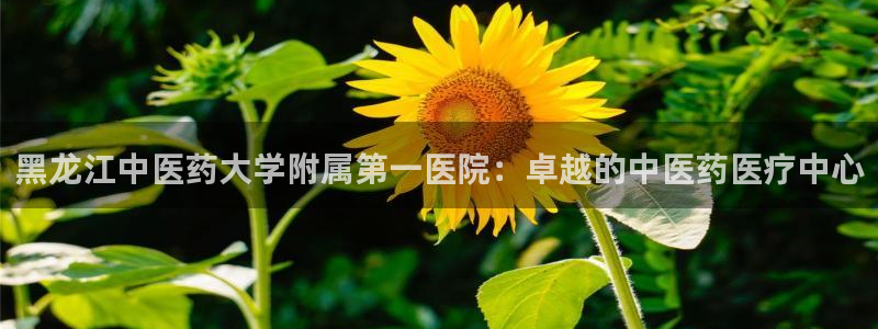 九游会官网入口首页