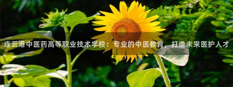 九游会网址多少
