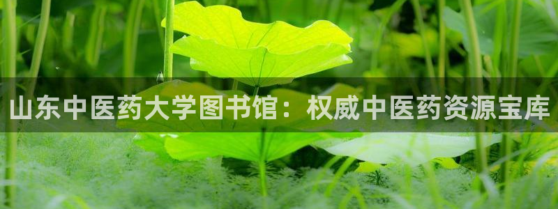 九游会AGapp下载