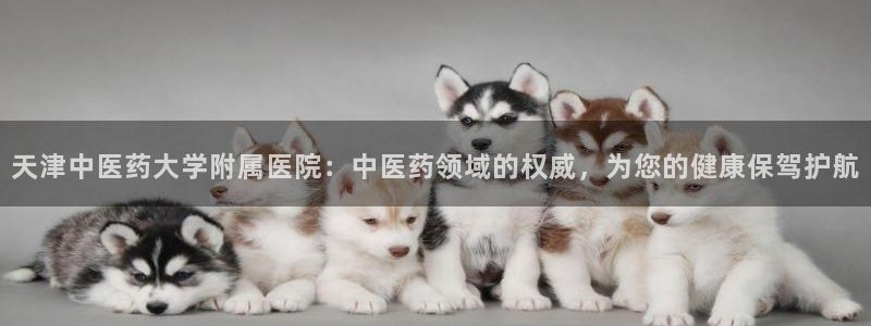 J9九游会九游国际版