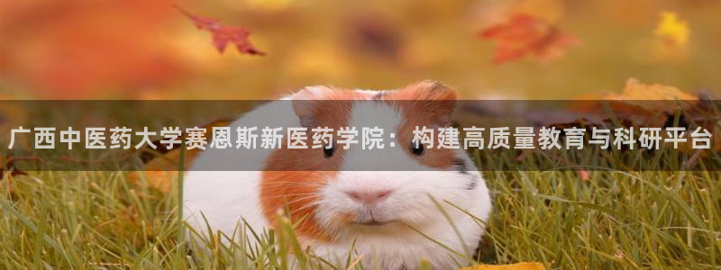 九游会官网在线