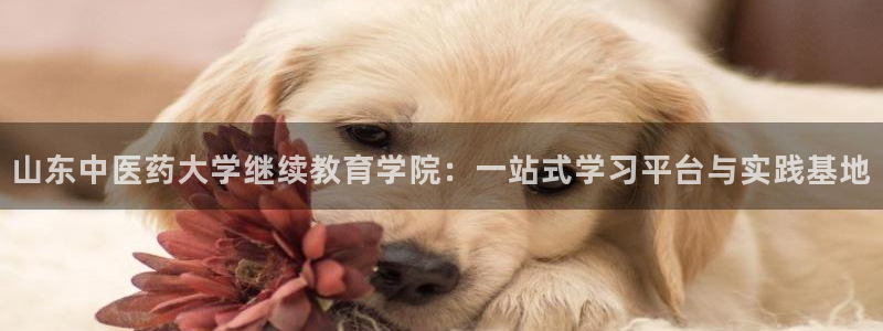 九游会官方平台