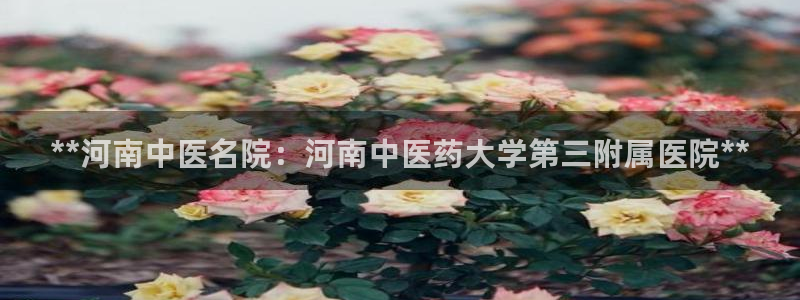 九游会ag登录j9