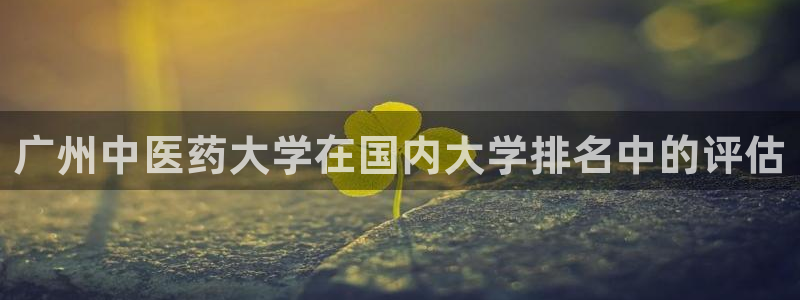 j9九游会