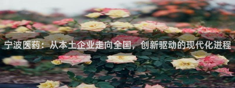 九游会官网可靠的