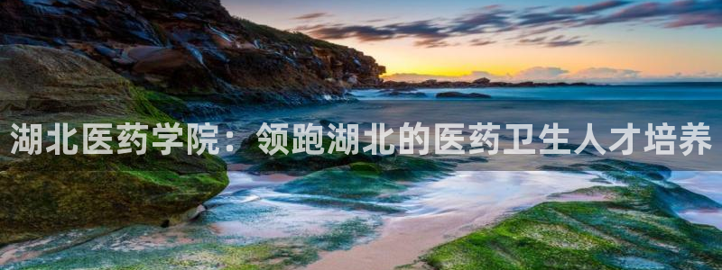 九游会ag官方网站在哪