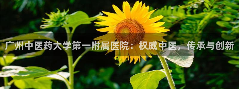 九游会官网下载最新版