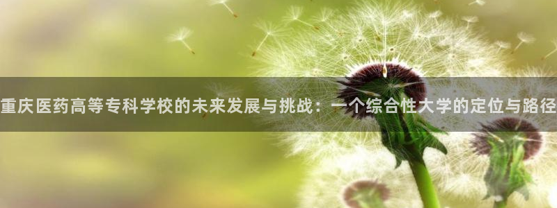 九游会平台登录不上