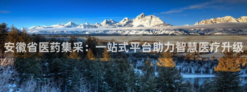 J9九游会强势登录