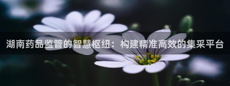 九游会网址是什么情况