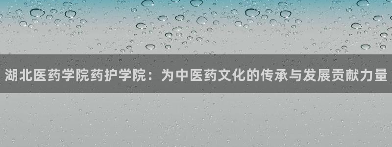 ag久游