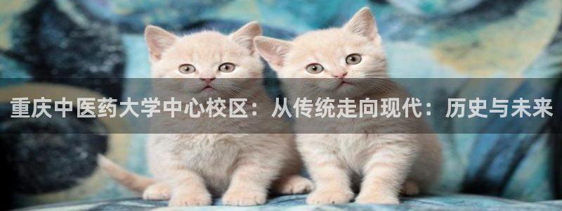 九游会员中心
