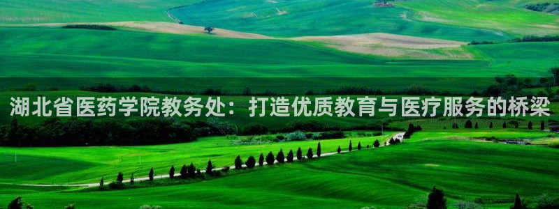 九游会亚洲登录