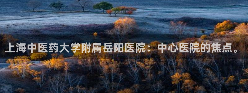 j9九游会登陆入口