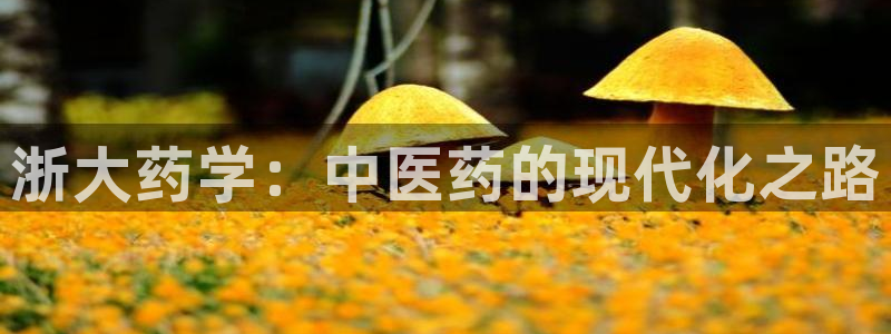 j9九游会真人游戏第一品牌