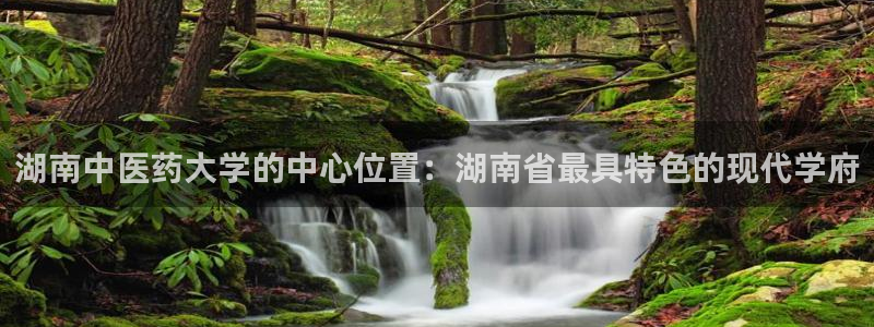 九游会是ag吗
