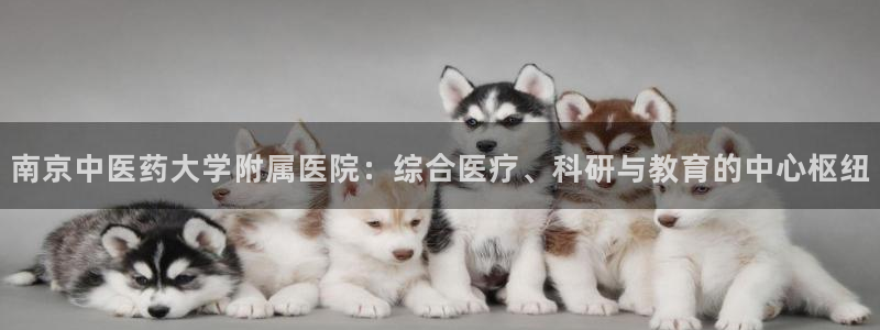 九游会j9网站首页