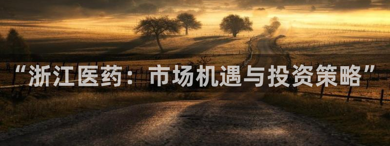 九游会上不去了