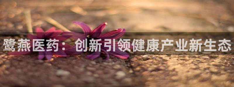 J9九游会首页：鹭燕 
