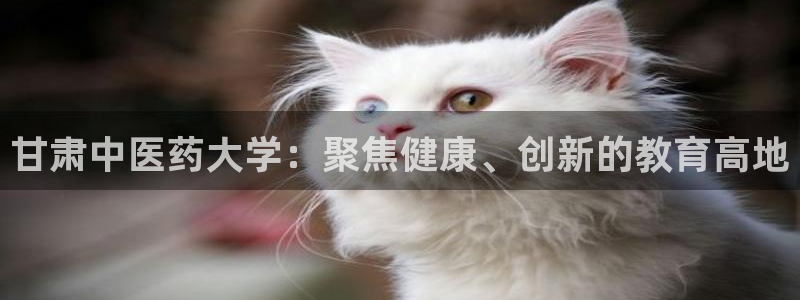 J9九游会登录首页