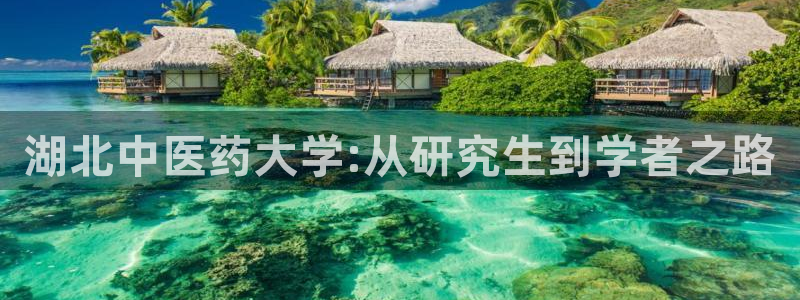 九游会平台网址