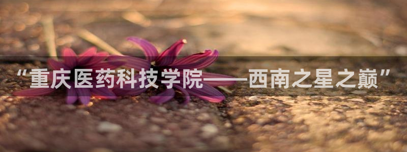 九游会官网客户端