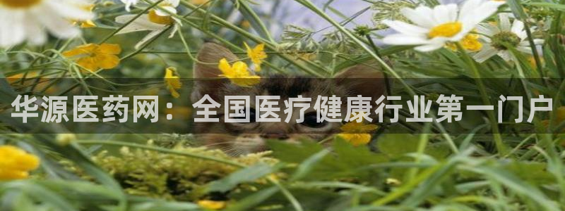 usdt九游会老哥俱乐部