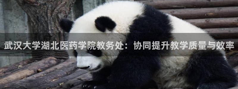 j9九游会安卓版下载