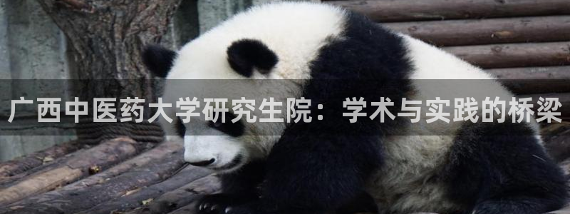 九游会平台网址