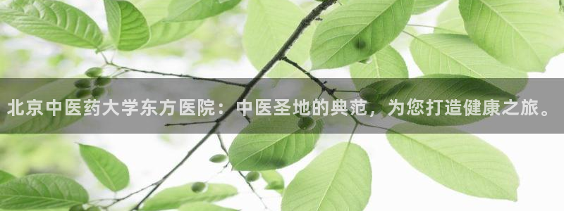 9游会网站登录