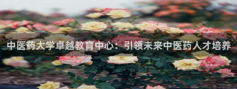 九游会ag老哥俱乐部