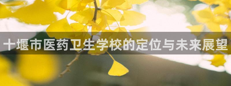 九游会网页版登录