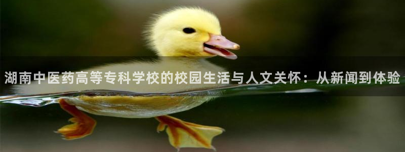 j9九游会老哥俱乐部成员