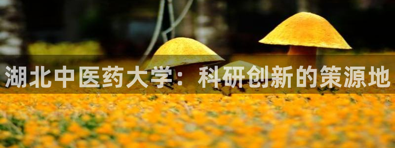 九游会最新网站