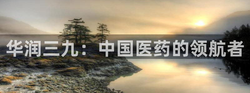 九游会主页：华润三九 