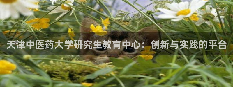 九游j9打不开：天津