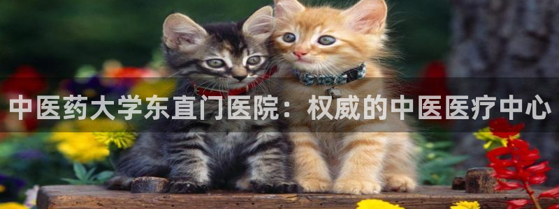 九游会官网真人认证吗安全吗