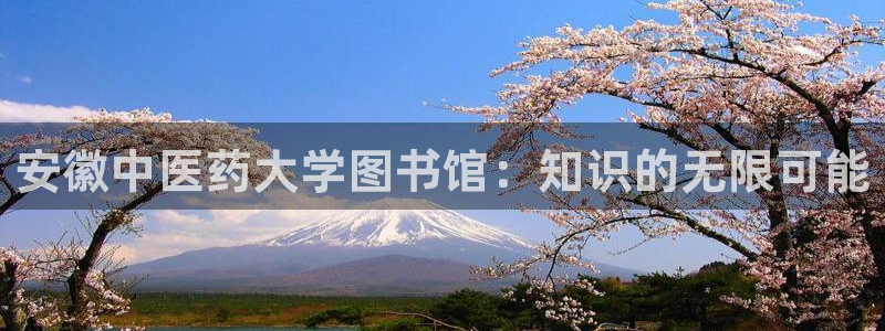 j9九游会跑路了吗