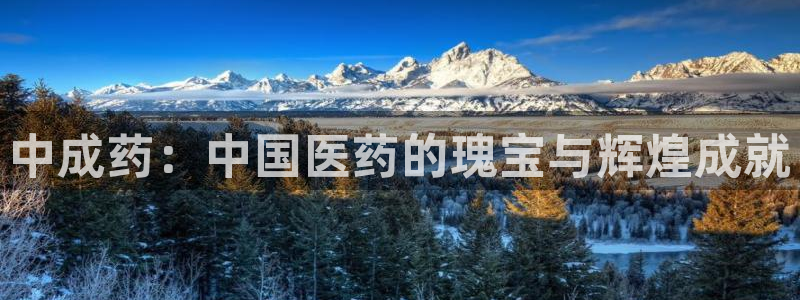 九游会官方在线