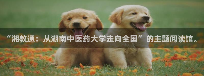 九游会是干嘛的游戏