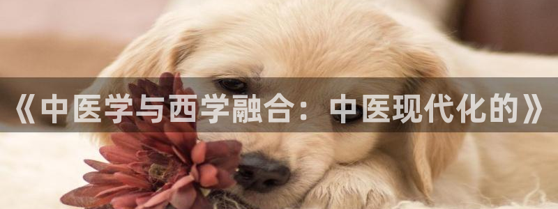 九游会官网登录首页