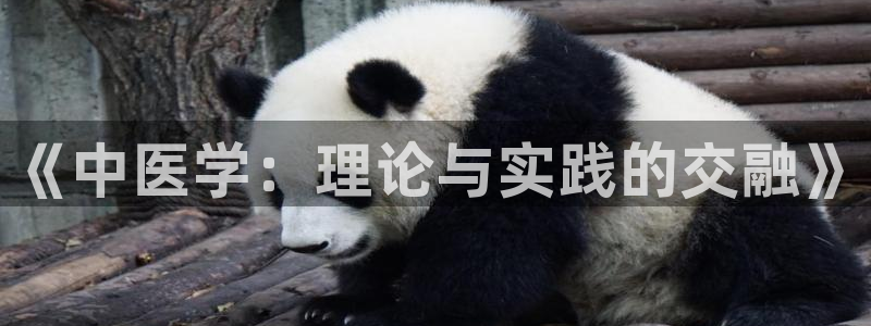 九游会官网ag旧版