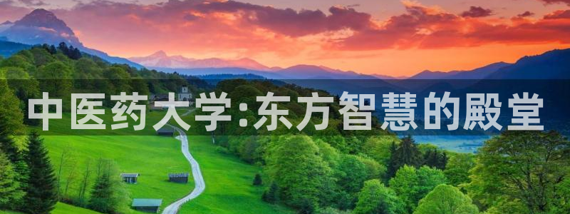 九游会口碑怎么样