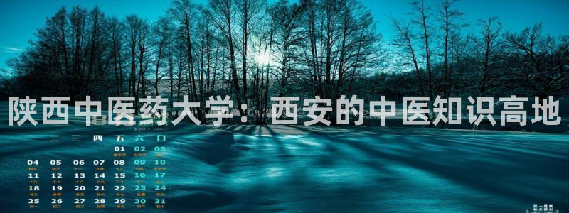 九游会集团新的选择