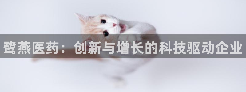 j9九游会买u多少一个