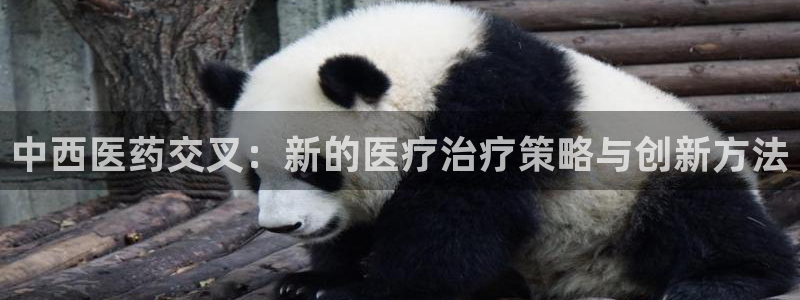 九游会官网地址