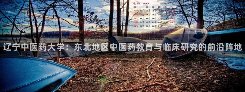 九游会官网个人中心登录