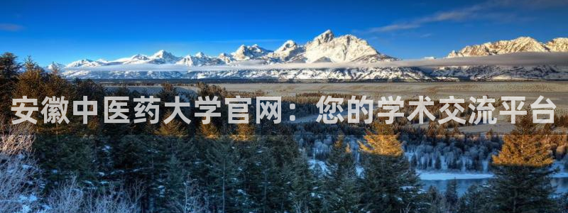 J9九游会首页登录：